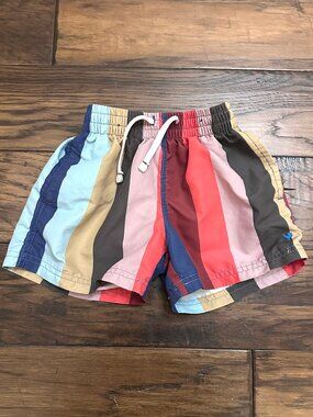 Blue Rooster/Pink Chicken Boys' Stripe Swim Trunks